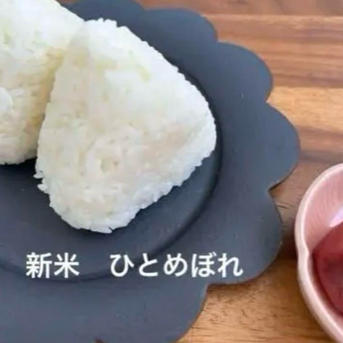 新米 採れたて ひとめぼれ 減農薬栽培 湧き水栽培 ｜ 米・穀物/玄米 