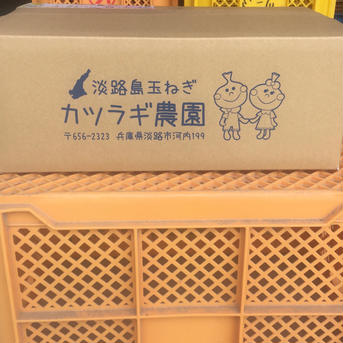 淡路島玉ねぎ　形、大きさ不揃い、皮むけ【訳あり】9kg 9kg 野菜/玉ねぎ通販