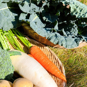 冬野菜詰め合わせ 冬野菜詰め合わせ | 野菜/野菜セット・詰め合わせ 産直アウル 農家から