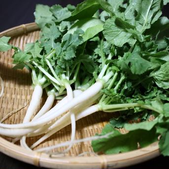 本日収穫】【神鍋高原産】間引き大根1kg ｜ 野菜/大根 産直アウル