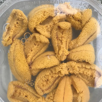 （実質送料無料）キタムラサキウニ（北海道利尻島産）4パック400g 4パック400g 魚介類/ウニ通販