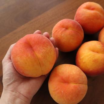 家庭用】早生ワッサー2.4kg（10～13玉）／本気農場いけだ ｜ 果物/もも