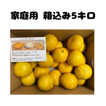 ニューサマーオレンジ『家庭用5キロ』三瓶町の特産品 ｜ 果物/オレンジ