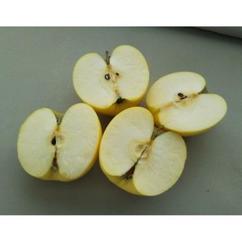 りんご シナノゴールド 大玉 5kg ｜ 果物/りんご 産直アウル 農家