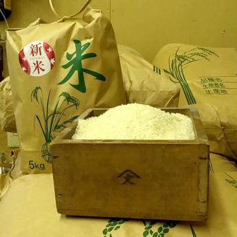 【新米】令和6年度産　秋田産あきたこまち　白米白米20kg 白米20kg 米・穀物/米/精米通販