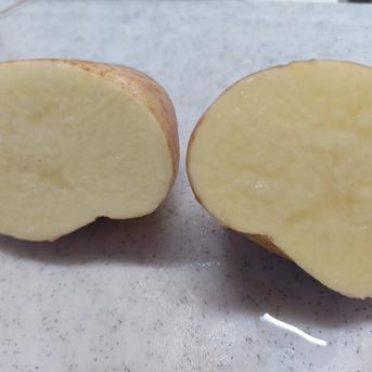 🥔農薬・化学肥料不使用「ニシユタカ」1kg Sサイズ🥔 ｜ 野菜