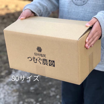 100(信州産)寒波で甘ウマ！小さめトロトロ大根｢あじまるみ｣ 100サイズ箱に入るだけ(目安は本文参照) 野菜/大根通販
