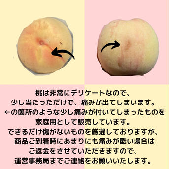 岡田様専用家庭用夢白桃2kg×2箱 2kg×2箱 果物/もも通販