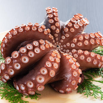 東の横綱🐙　タコの名産地　南三陸志津川産　マダコ（茹で）足 200g×2パック 200g×2 魚介類/その他魚介通販