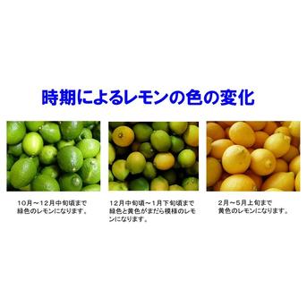 広島県産 瀬戸田レモン 2kg A・B混合品 有機JAS法準拠栽培 ｜ 果物