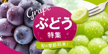 ぶどう特集♪今年も旬のぶどうで贅沢時間を過ごしませんか？