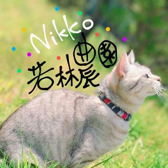Nikko若林農園 日光市