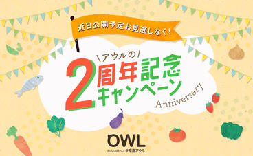 owl210034_1516-936.jpg
