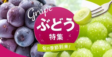 ぶどう特集♪今年も旬のぶどうで贅沢時間を過ごしませんか？