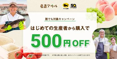 野菜購入者　ラウ13kg 産直アウル｜産地直送の通販サイト – 農家・漁師などの生産者から直接