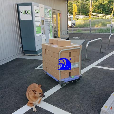 小田島ファームさんがコミュニティ向けに「春野菜はじまり」投稿