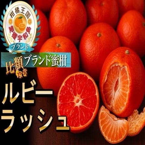 愛媛みかん総本家…の最新投稿「日本一赤いミカン🍊傾斜35度の断崖
