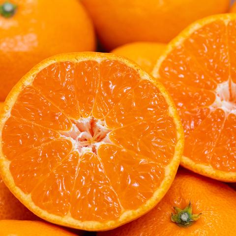 オレキン80g2個100g120gレインボーB80g100g計6個　専用出品 80円 やおきん フルーツモンスターレインボー味 [1箱 12袋入]：駄菓子