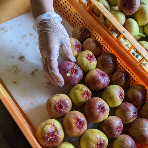 小さな自然農園 にゃんモコのご紹介 | 嘉麻市 | 産直アウル 農家から