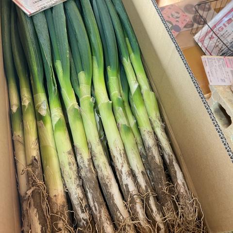 葱や けんもち（埼玉県・深谷市）｜生産者詳細｜産直アウル