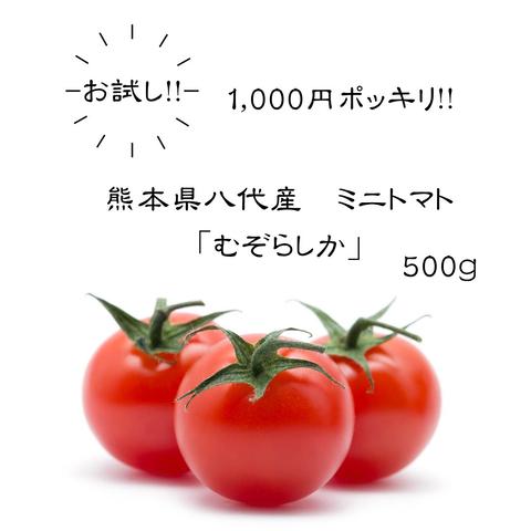 三基商事 - トマトです‼️ ミキプルーントマトケチャップ / ミキプルーンオンラインショップ