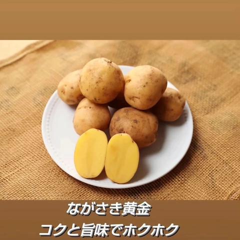 じゃがのまつなが（長崎県・西海市）｜生産者詳細｜産直アウル