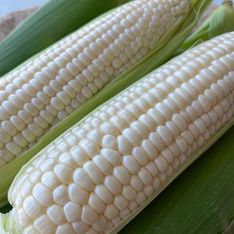 農家の孫まっちのご紹介 | 南あわじ市 | 産直アウル 農家から