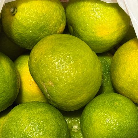 ぽお美's farm（高知県・香南市）｜生産者詳細｜産直アウル