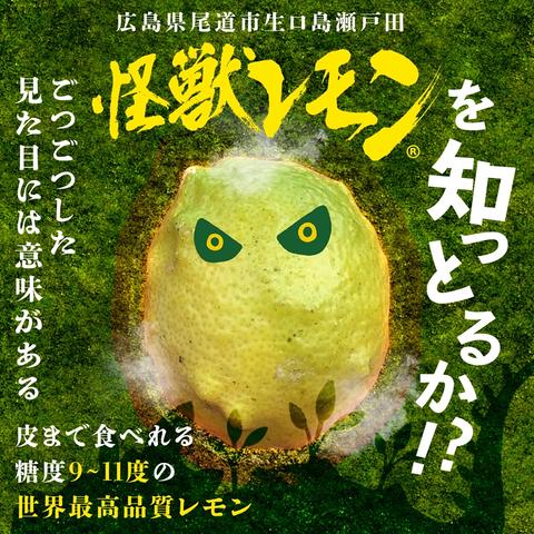 やまちゃんの八百屋の最新投稿「怪獣レモン出品開始しました