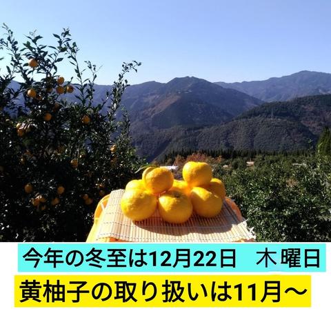 Yuzfactory（宮崎県・西米良村）｜生産者詳細｜産直アウル