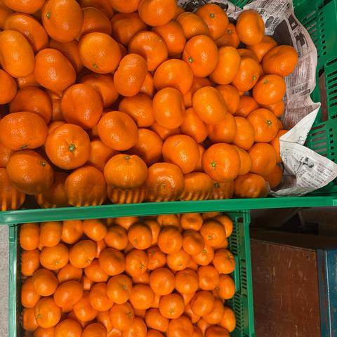 マルユー園の最新投稿「丹生系みかんラストスパートです🍊」｜産地直送