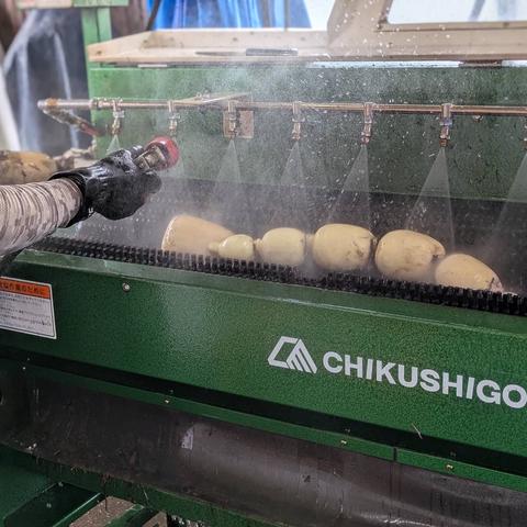 すずき蓮根農園さんがコミュニティ向けに「れんこん洗浄中」投稿