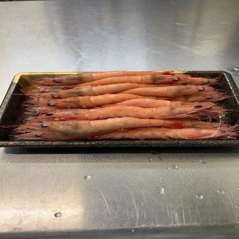 8000万年の叡…の最新投稿「【島で4隻限定】幻の大トロ甘海老