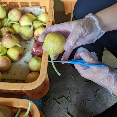 小さな自然農園 にゃんモコのご紹介 | 嘉麻市 | 産直アウル 農家から