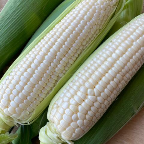 農家の孫まっちのご紹介 | 南あわじ市 | 産直アウル 農家から