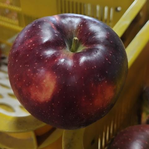 山﨑りんご農園（長野県・麻績村）｜生産者詳細｜産直アウル