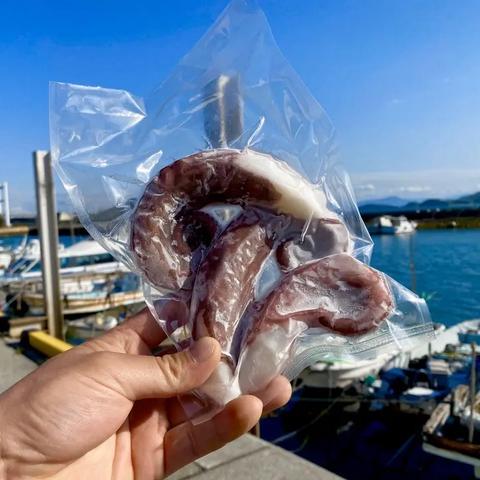 漁師からの直行便 七福丸さんがコミュニティ向けに「お試し商品出品  