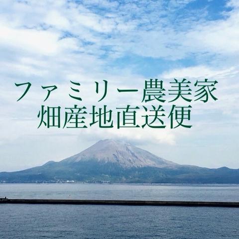 ファミリー農美家畑産地直送便（鹿児島県・垂水市）｜生産者詳細｜産直