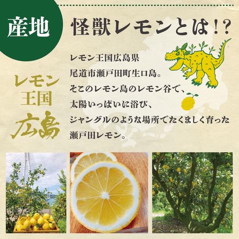 やまちゃんの八百屋の最新投稿「怪獣レモン出品開始しました