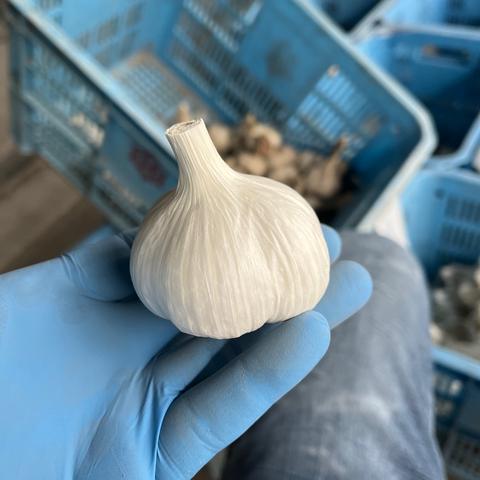 farmer Agrink（香川県・善通寺市）｜生産者詳細｜産直アウル