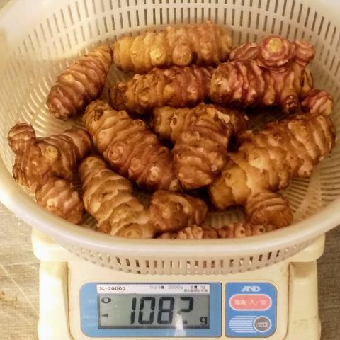 遠藤農園さんがコミュニティ向けに 赤菊芋を出品し 投稿しました 産直アウル