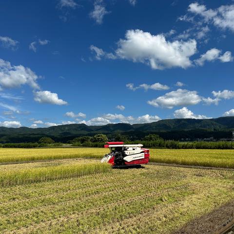 訳あり 御殿場産 コシヒカリ いとう 訳あり 御殿場産 コシヒカリ いとう 静岡県御殿場産コシヒカリ | お米