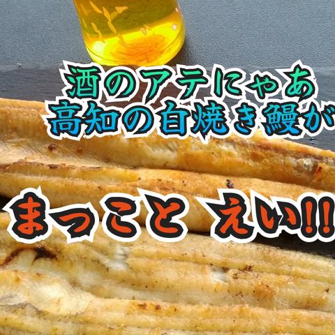 有限会社 吉川水産の最新投稿「本日、締め切りです。」｜産地直送の 