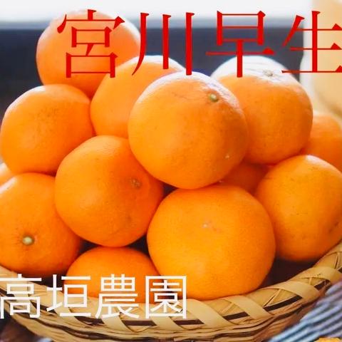高垣農園のご紹介 | 田辺市 | 産直アウル 農家から直接野菜など