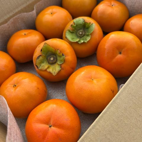 ifarmの最新投稿「希少！新品種 紀州てまり かわいい」｜産地直送の