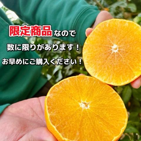 株式会社 笑丸（ニコマル）さんがコミュニティ向けに「まどんなの販売
