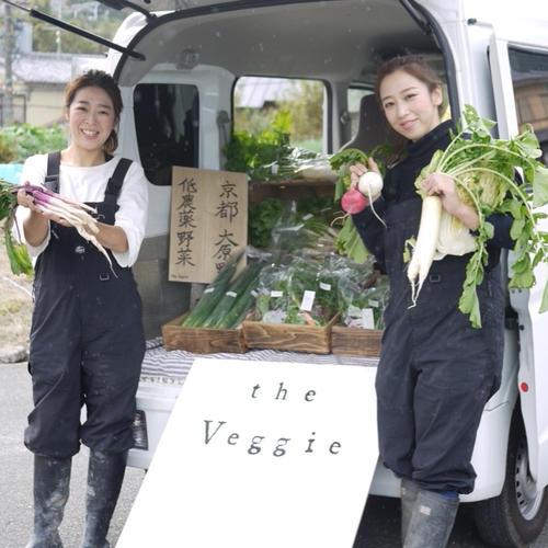 夏の採れたて野菜詰め合わせ⚫︎京都大原野 ｜ 野菜/野菜セット