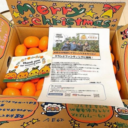 🍊選べるギフトセット🍊てんちゃんジュース3種セット（みかん、はるか