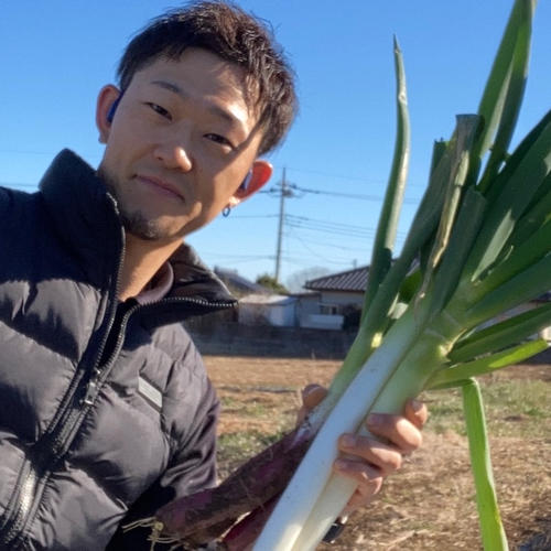 超貴重 茨城県産 赤ネギ長ネギの食べ比べセット！4キロ ｜ 野菜/ねぎ