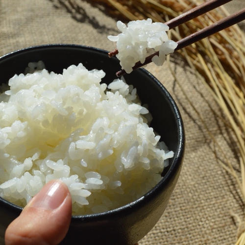 10名限定】完全無農薬・無肥料